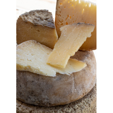 Meule Tome des Pyrénées lait cru - Fromagerie du Madres 