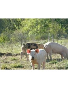 jambon blanc (0 nitrite) - Fromagerie du Madres  2