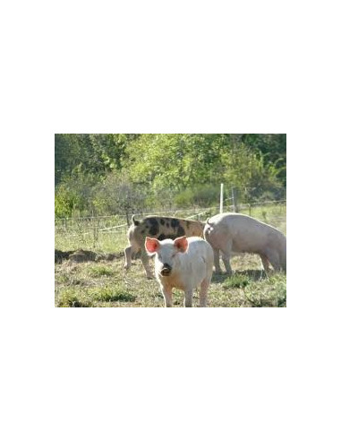 jambon blanc (0 nitrite) - Fromagerie du Madres 