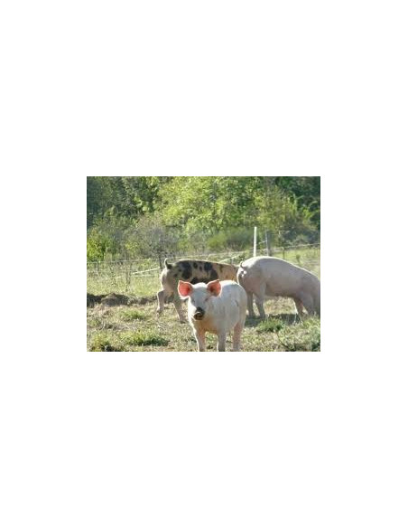 jambon blanc (0 nitrite) - Fromagerie du Madres 